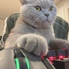 ๛