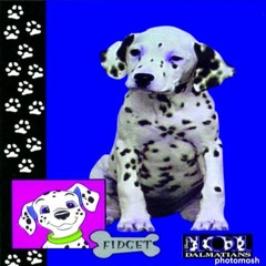 BLOOMBERGIAN ALPS HOTEL MANAGEMENT [$55bln] (2K25)