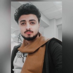 Mohamad Elaraby