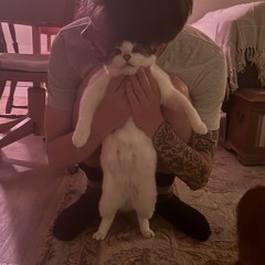 kevin plov ❈