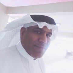 مدن الناصر