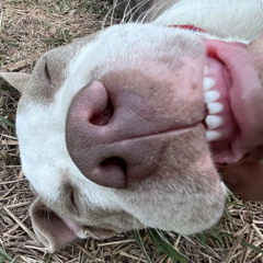 never be the same again 😤🙏🏽