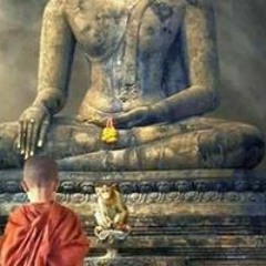 Nguyễn Thành Liên