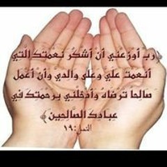 اميرة محمود