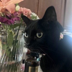 olivia's lover