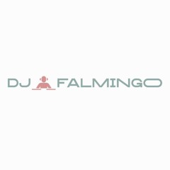 dj falmingo
