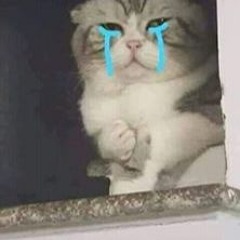 ling_