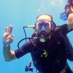 MIdo Torky