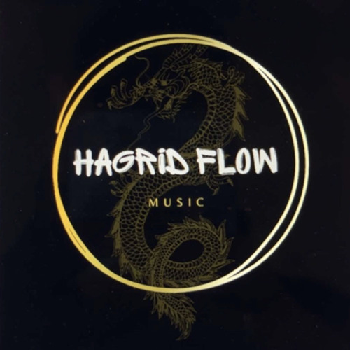 Hagrid Flow’s avatar