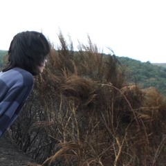 SKINNYWALKER