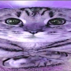 Mr