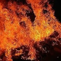 🔥🔨├┬┴┬┴ нєρнєѕтυѕ ┬┴┬┴┤🔥🔨