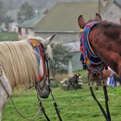 فيروز ـ ـ ستي يا ستي من مسرحية ميس الريم