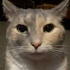 neiyomaa