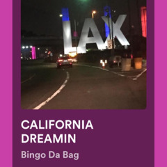 Bingo Da Bag  Artist/ Songwriter