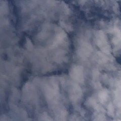 M1LL