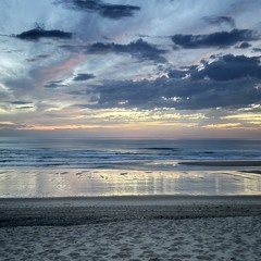 LonelyTerminator💪🏻