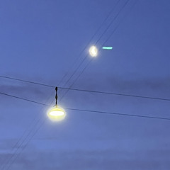 Thit Andrea Pagh Senstius