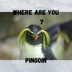Pingoin