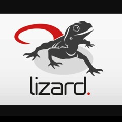 DJLIZARDARDOYNE