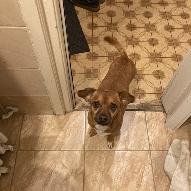 Mixed by: Levente - Back to Mine Progressive & Tech House - Vinyl Live Mix Mixed by: Levente - Back to Mine Progressive & Tech House - Vinyl Live Mix