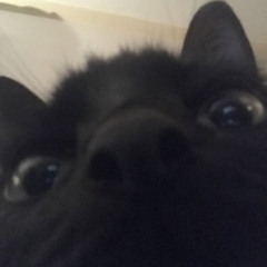 ‎