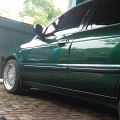 bray81