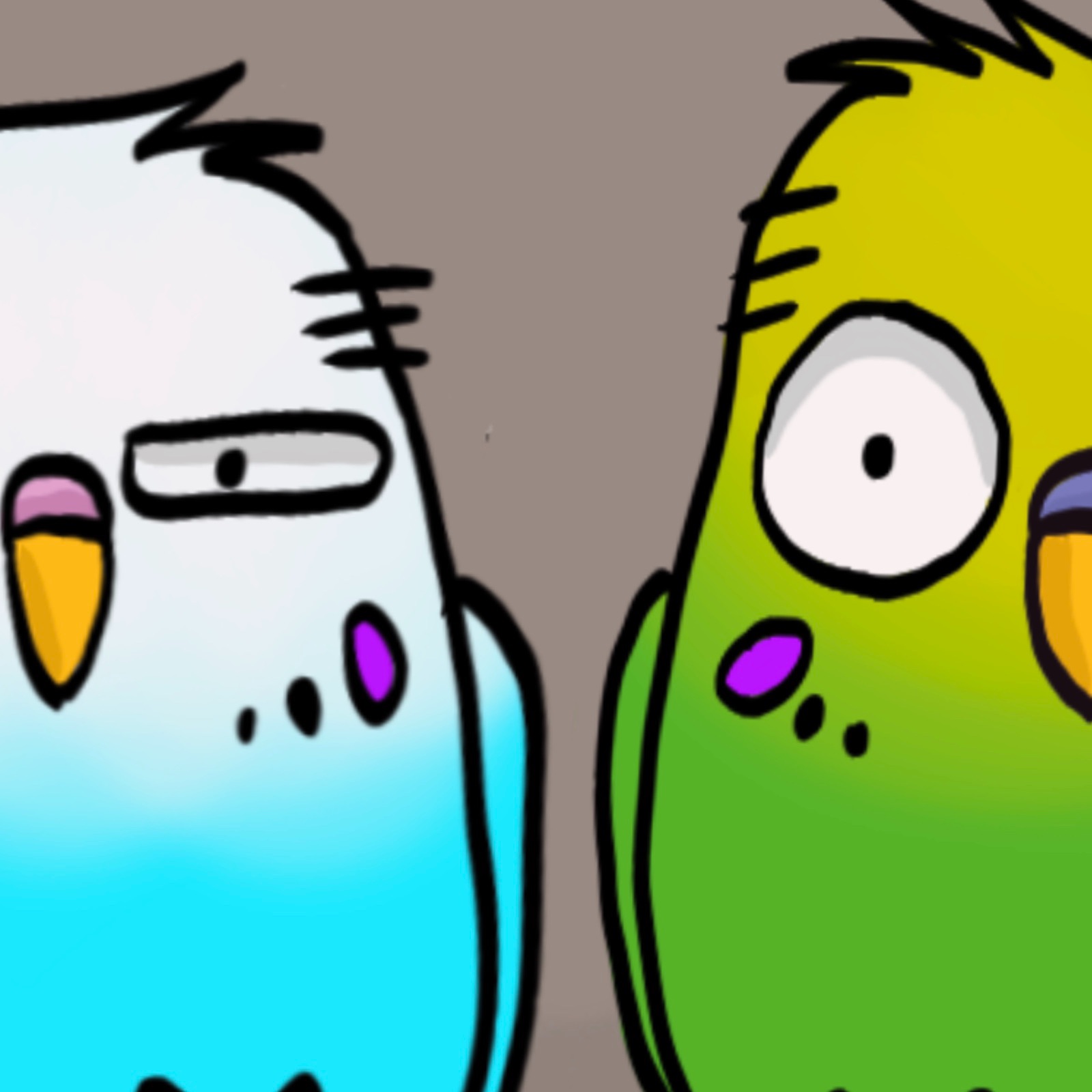 The Dumpy Budgie