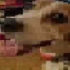 Lil bingo