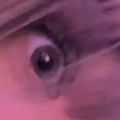 MDMADEL