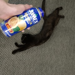 SalamalaИкотикЮг