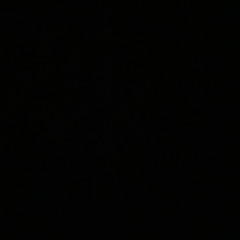 alexxx