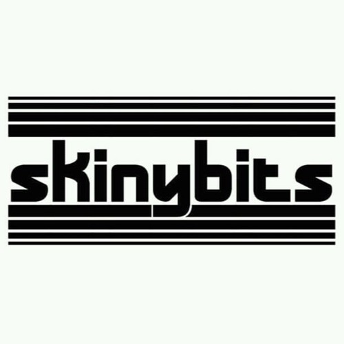 Skiny bits’s avatar