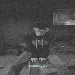 nillmoy.axi
