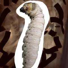 WitchettY GruB