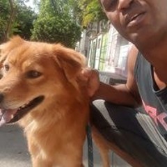 Silvio Oliveira Dos Santos