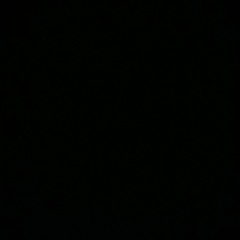 Tayloo01