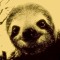 Sloth Noises