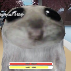 ぽんす