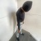Official_BabyDracoo