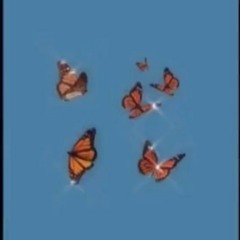 🌹𝖎𝖙𝖟.𝖘𝖆𝖒🌹