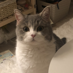 RICO