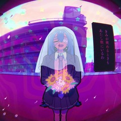sharkii-chan
