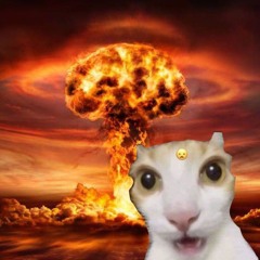 C.                       A.                      T