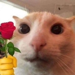 Duongmii