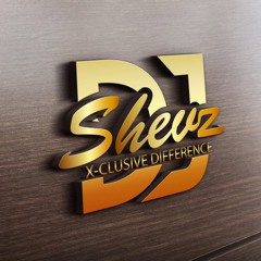 DJ SHEVZ