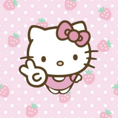 feinforhellokitty