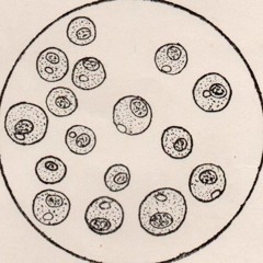 vilarejoilusório ☽