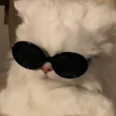 사클좋아