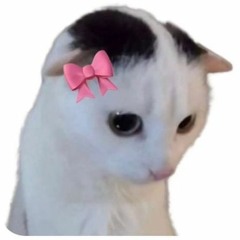 🎀